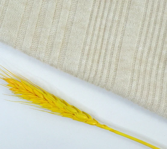 Nylon Rib Knit Fabric For Apparel And Garment Clothes made in China     
